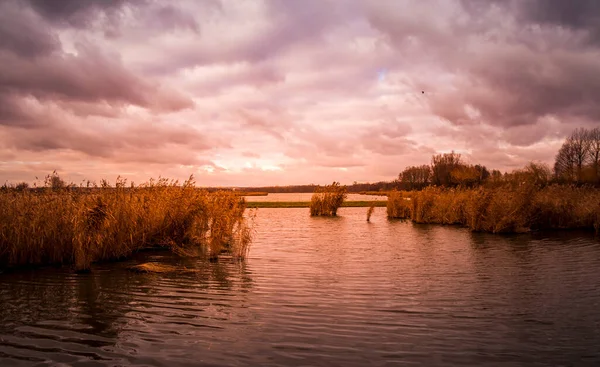 水の上に美しい夕日 — ストック写真