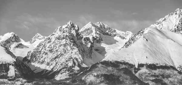 Schöne Aussicht Auf Die Winterberge Der Slowakei — Stockfoto