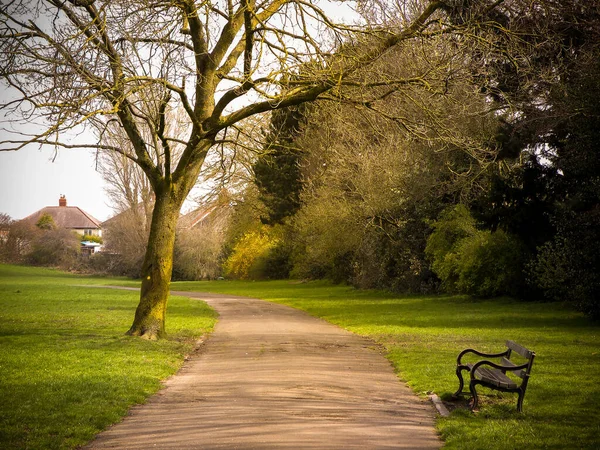 English Park Landscape Perfect Place Relax — Stock Photo, Image