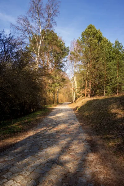 Parco Paesaggistico Inglese Luogo Perfetto Rilassarsi — Foto Stock