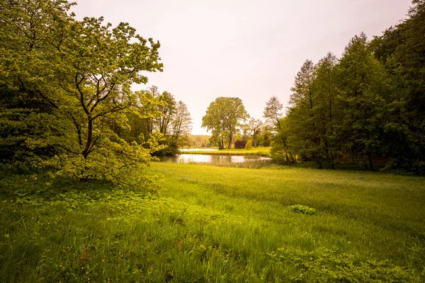 Paisagem Parque Inglês Lugar Perfeito Para Relaxar — Fotografia de Stock