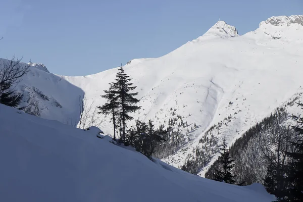 Schöner Winterblick Auf Die Polnischen Berge — Stockfoto