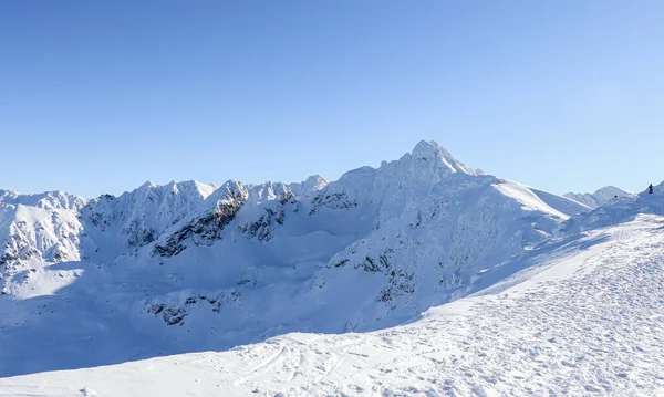 Bella Vista Invernale Delle Montagne Polacche — Foto Stock