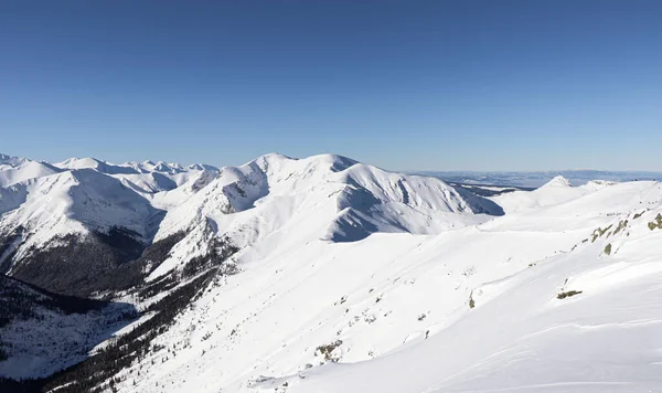 Krásný Zimní Pohled Polské Hory — Stock fotografie
