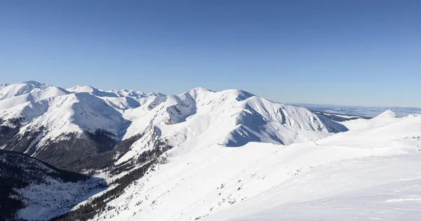 Schöner Winterblick Auf Die Polnischen Berge — Stockfoto