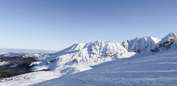 Belle Vue Hiver Sur Les Montagnes Polonaises — Photo