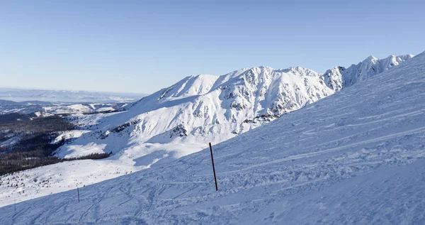 Bella Vista Invernale Delle Montagne Polacche — Foto Stock