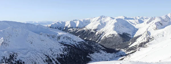 Bella Vista Invernale Delle Montagne Polacche — Foto Stock