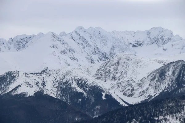 Belle Vue Hiver Sur Les Montagnes Polonaises — Photo