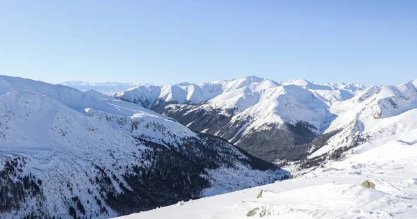 Bella Vista Invernale Delle Montagne Polacche — Foto Stock