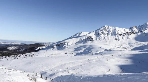 Bella Vista Invernale Delle Montagne Polacche — Foto Stock