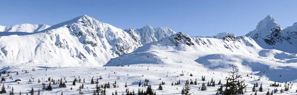 Прекрасний Зимовий Краєвид Польських Гір — стокове фото