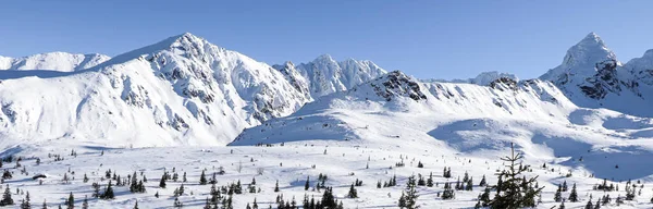 Bela Vista Inverno Das Montanhas Polonesas — Fotografia de Stock