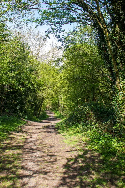 Paysage Ensoleillé Dans Une Réserve Naturelle Anglaise Dudley — Photo