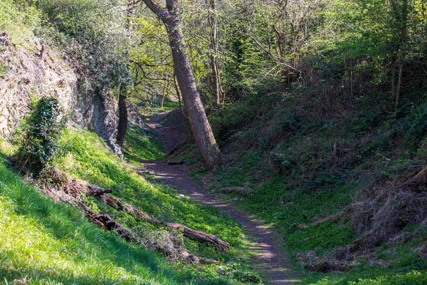 Landschaft Mit Sonnenlicht Einem Natürlichen Englischen Reservat Dudley — Stockfoto