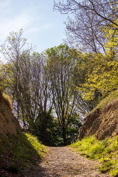 Paesaggio Con Luce Solare Una Riserva Naturale Inglese Dudley — Foto Stock