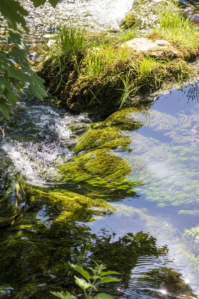 Flödesvatten Över Stenar Ett Naturreservat England — Stockfoto