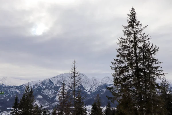 Bela Vista Inverno Das Montanhas Polonesas — Fotografia de Stock