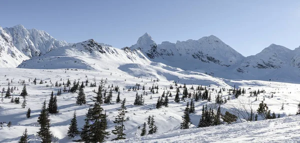 Schöner Winterblick Auf Die Polnischen Berge — Stockfoto