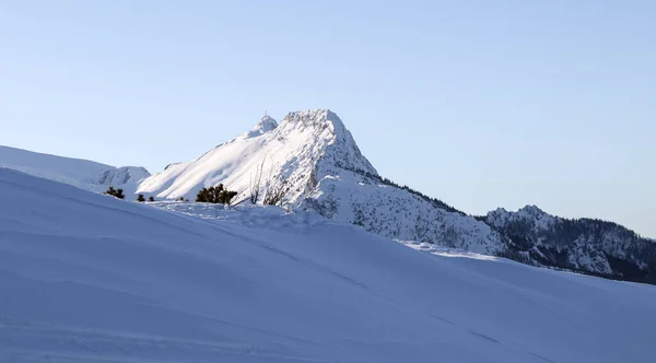 Belle Vue Hiver Sur Les Montagnes Polonaises — Photo