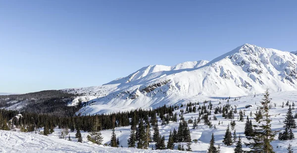 Winterlandschap Van Poolse Bergen — Stockfoto