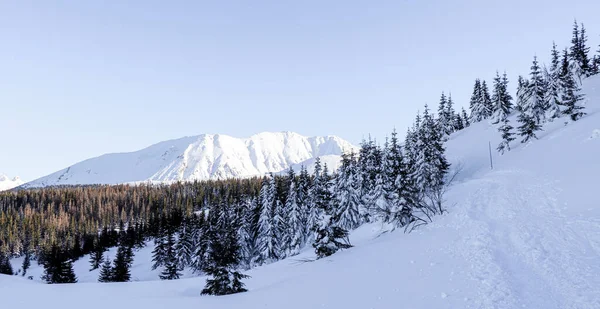 Zimní Krajina Polských Hor — Stock fotografie