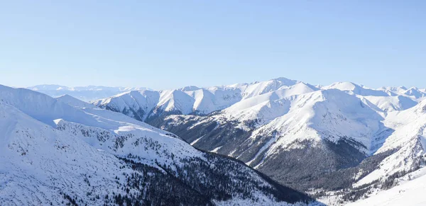 Paesaggio Invernale Dalle Montagne Polacche — Foto Stock