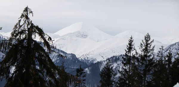 Paisagem Inverno Montanhas Polonesas — Fotografia de Stock