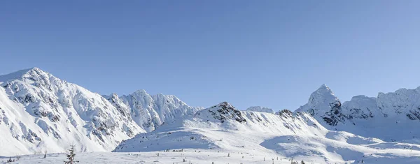 Paesaggio Invernale Dalle Montagne Polacche — Foto Stock