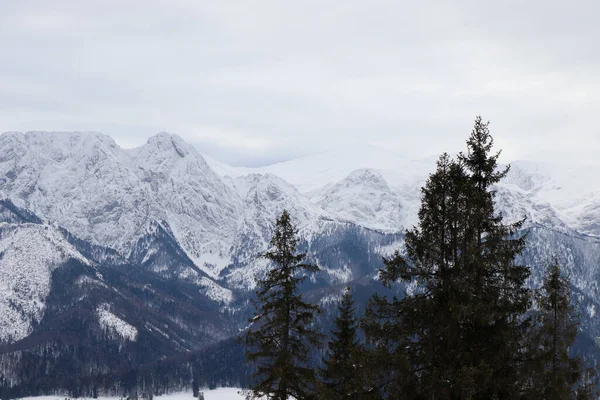 Paisaje Invernal Montañas Polacas —  Fotos de Stock