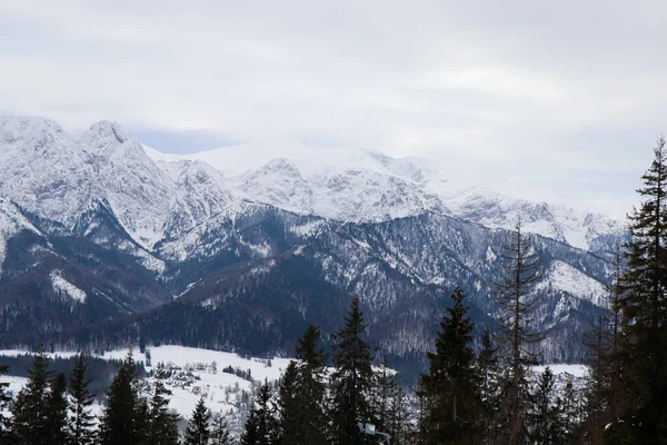 Paisagem Inverno Montanhas Polonesas — Fotografia de Stock