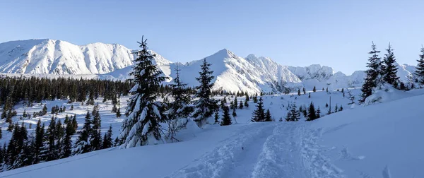 Winterlandschaft Aus Den Polnischen Bergen — Stockfoto