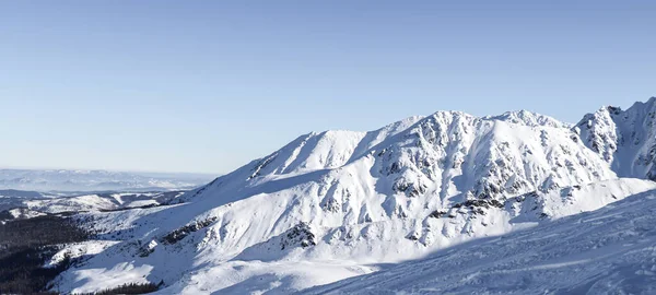 Winterlandschap Van Poolse Bergen — Stockfoto