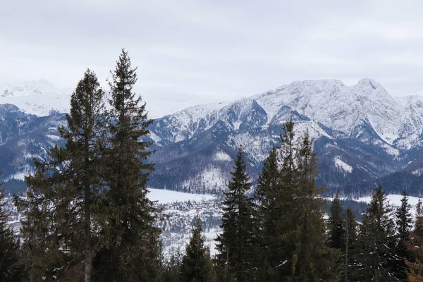 Paisagem Inverno Montanhas Polonesas — Fotografia de Stock