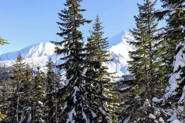 Winterlandschaft Aus Den Polnischen Bergen — Stockfoto