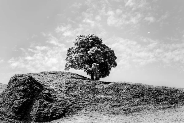 Landschaft Mit See Peak District — Stockfoto