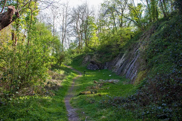 Paesaggio Con Luce Solare Una Riserva Naturale Inglese — Foto Stock