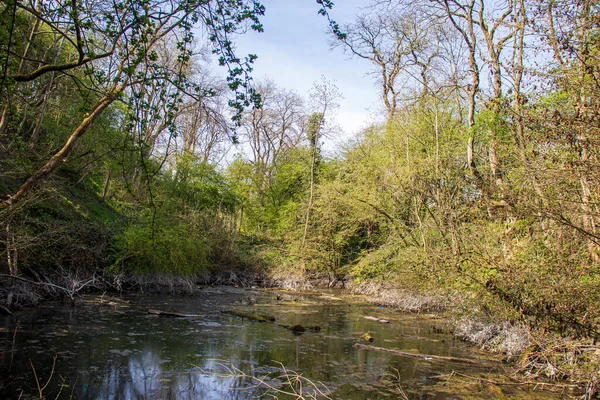 Paysage Ensoleillé Dans Une Réserve Naturelle Anglaise — Photo