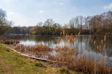 Myslecinek, Polonya 'nın Bydgoszcz merkezinden sadece üç kilometre uzaklıktaki en büyük şehir parkı.. 