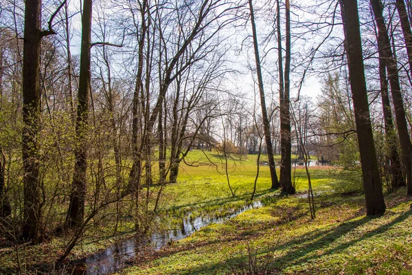 Myslecinek Est Grand Parc Urbain Pologne Situé Seulement Trois Kilomètres — Photo