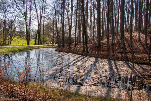 Myslecinek Est Grand Parc Urbain Pologne Situé Seulement Trois Kilomètres — Photo