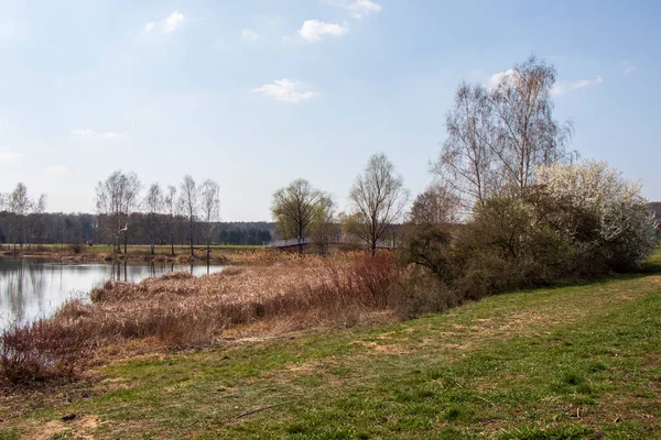 Myslecinek Den Största Stadsparken Polen Ligger Bara Tre Kilometer Från — Stockfoto