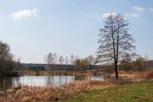 Myslecinek Est Grand Parc Urbain Pologne Situé Seulement Trois Kilomètres — Photo