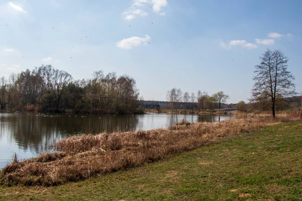 Myslecinek Est Grand Parc Urbain Pologne Situé Seulement Trois Kilomètres — Photo