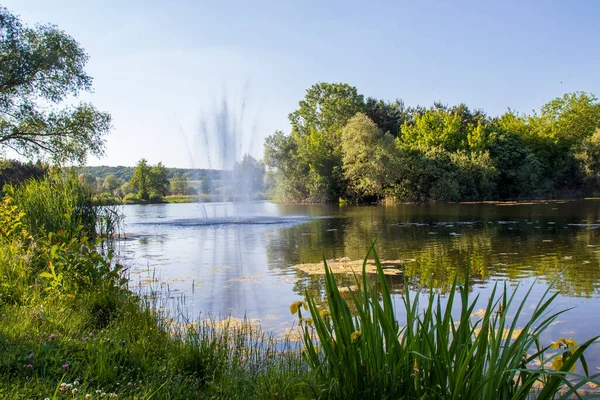 Myslecinek Maior Parque Cidade Polônia Localizado Apenas Três Quilômetros Centro — Fotografia de Stock
