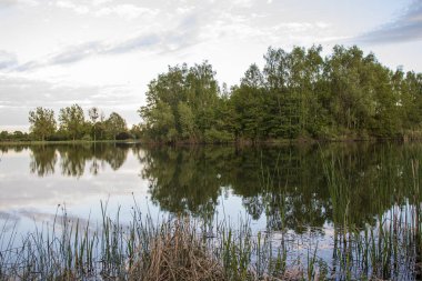 Bydgoszcz 'de harika bir park. Rahatlamak için mükemmel bir yer..