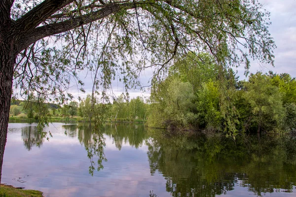 Parque Maravilhoso Bydgoszcz Lugar Perfeito Para Relaxar — Fotografia de Stock