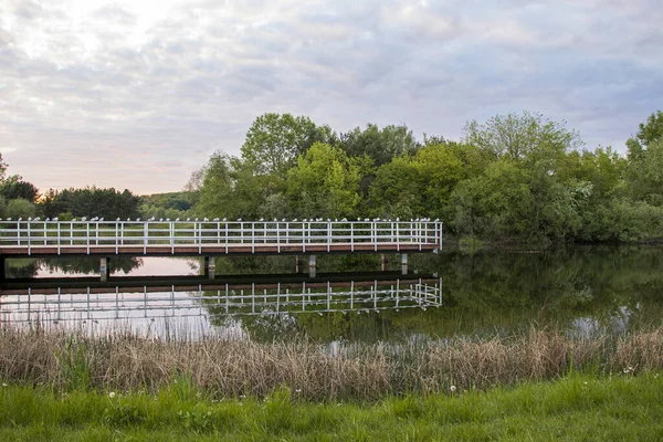 Bydgoszczの素晴らしい公園 リラックスするのに最適な場所 — ストック写真