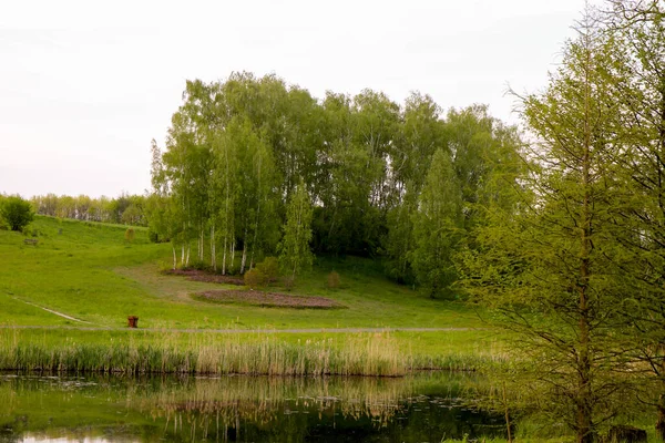 Magnifique Parc Bydgoszcz Endroit Parfait Pour Détendre — Photo
