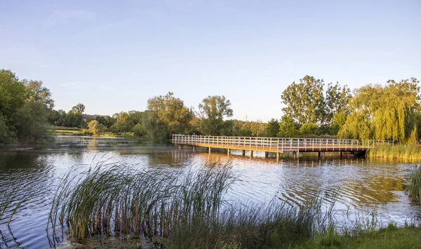 Parque Maravilhoso Bydgoszcz Lugar Perfeito Para Relaxar — Fotografia de Stock